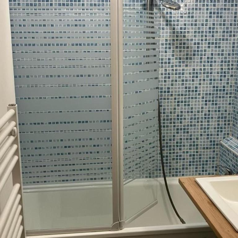 Studio cabine 4 pers, exposé sud, animaux admis, balcon - FR-1-263-598 - Appartamento - 5