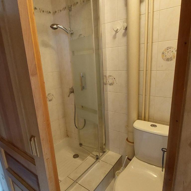Grand 2 pièces pour 4 personnes, animaux admis - FR-1-263-613 - Apartment - 9