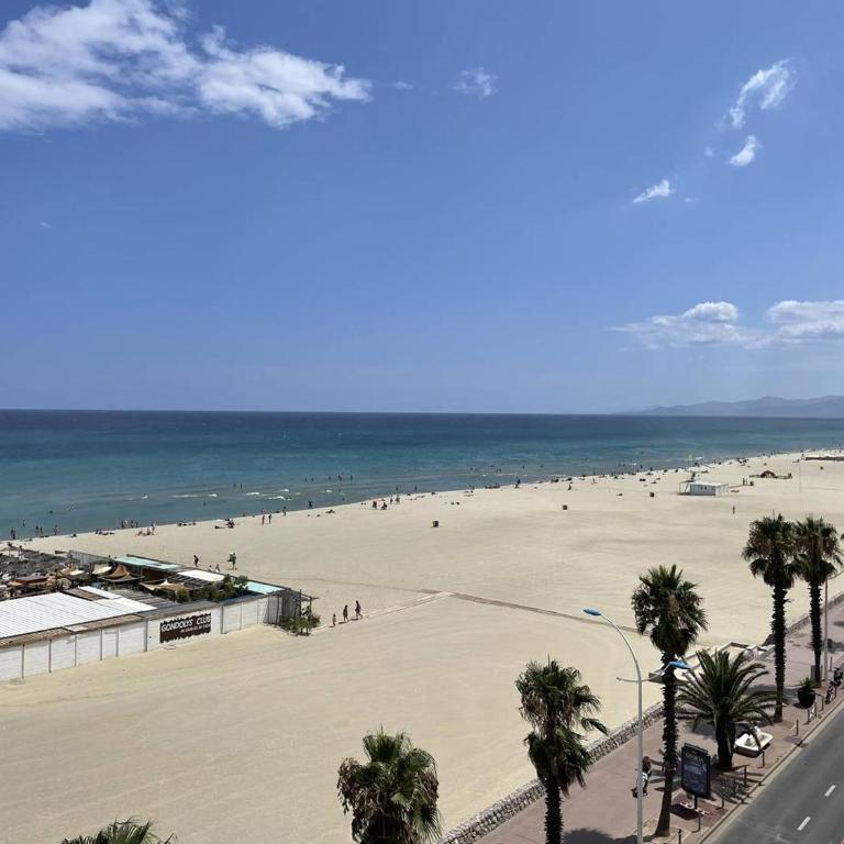 Appartement T2 Climat. Vues Mer à Canet-en-Roussillon - FR-1-833-36 - Appartamento - 9