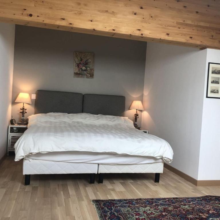 Appartement Châtel - 3 chambres, Wifi, Parking - FR-1-676-227 - Apartamento - 15