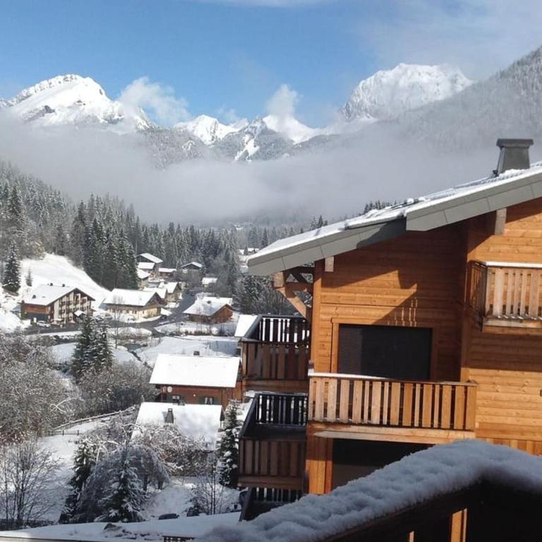 Appartement Châtel - 3 chambres, Wifi, Parking - FR-1-676-227 - Apartamento - 29