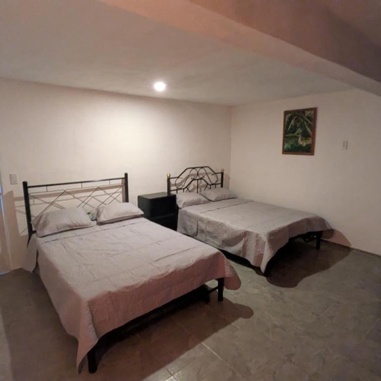 Maison Bertosz - One-Bedroom Apartment - 9