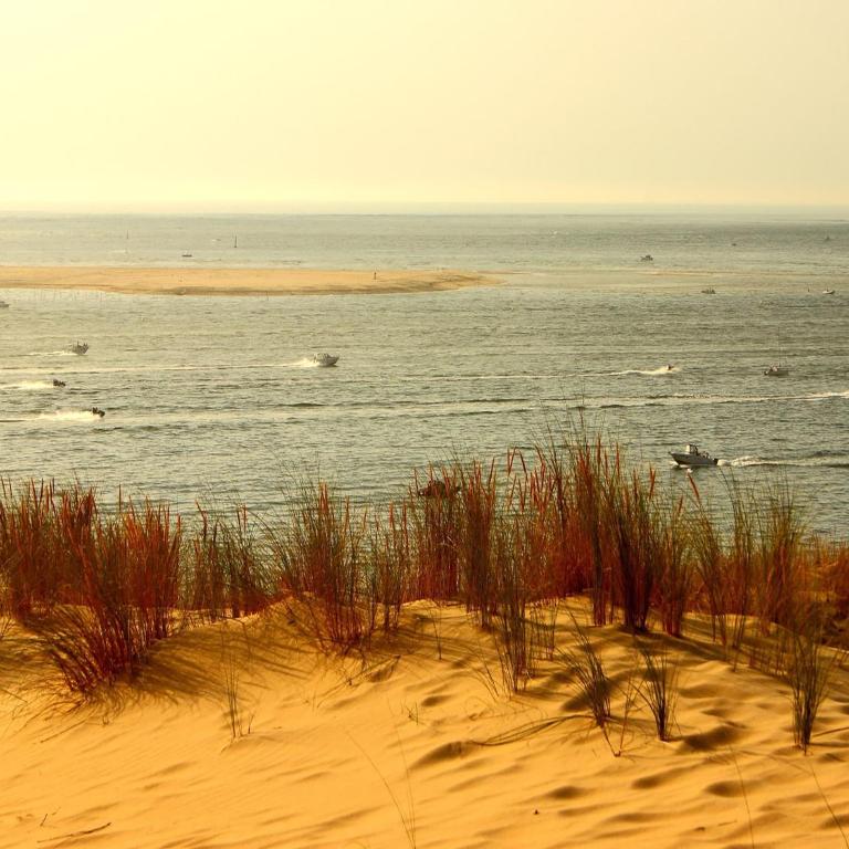 Poolside Escape by Arcachon - Ferienhaus mit 4 Zimmern - 32
