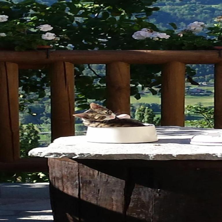 Chalet in Aosta near Pila Ski Lifts - Chalet con 2 Camere da Letto - 41