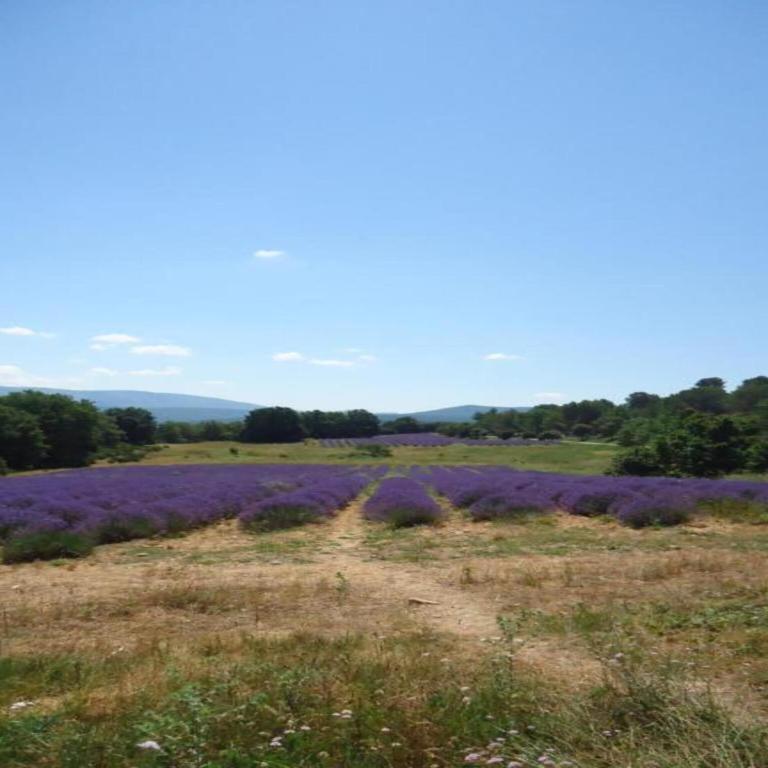 Holiday Home in La Seyne near Sablettes - Maison de Vacances 3 Chambres - 26