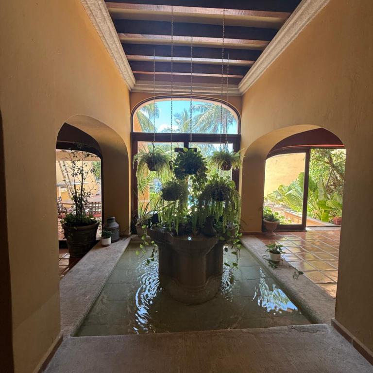 Hermosa hacienda con cenote y alberca privada - Casa de 7 dormitorios - 19