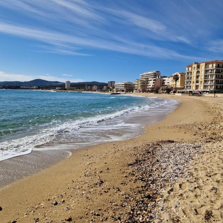 Charmant T2 au Lavandou - Appartement 1 Chambre - 1