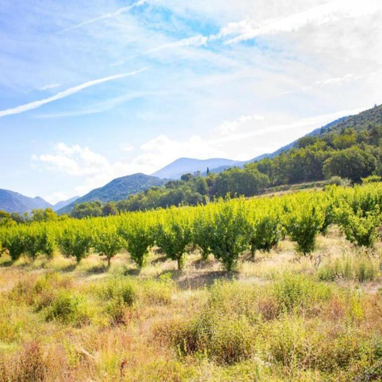 Villa in Malaucène near Mount Ventoux - Villa mit 4 Schlafzimmern - 33