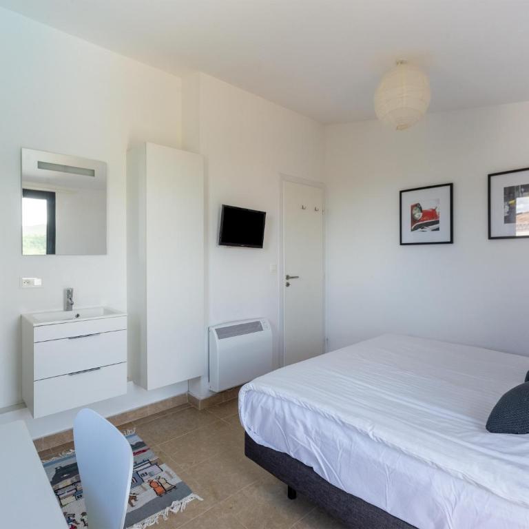 Villa in Malaucène with Mont Ventoux Views - Villa 4 Chambres - 22