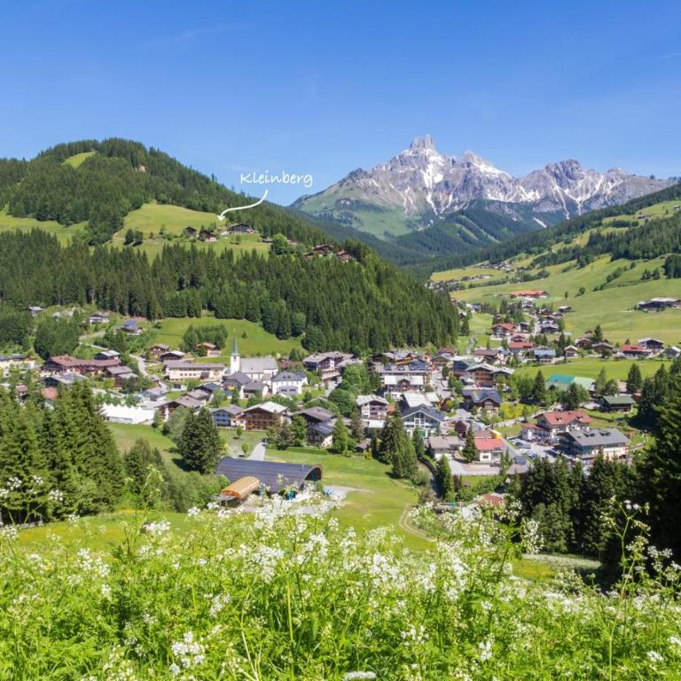 Kleinberg Chalet - Appartamento con 2 Camere da Letto - 2