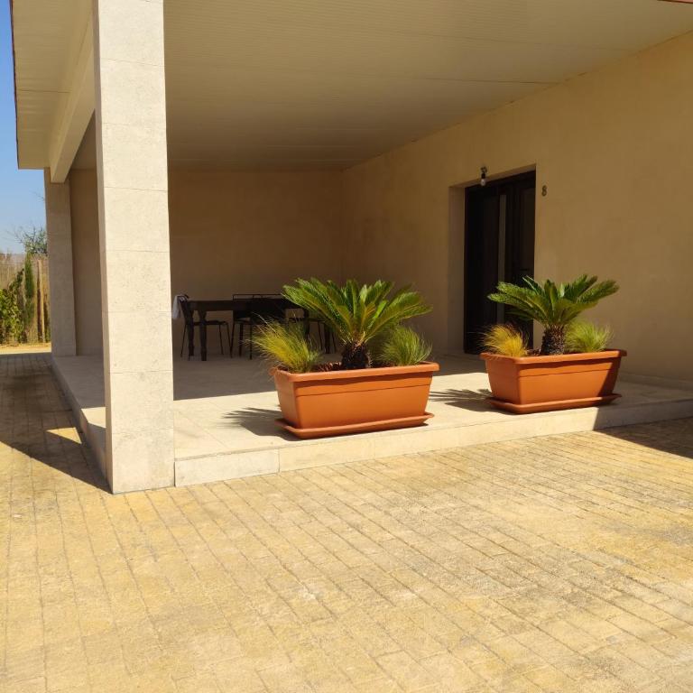 Finca Sol y Mar Es Trenc - Apartamento Deluxe de 1 dormitorio - 3