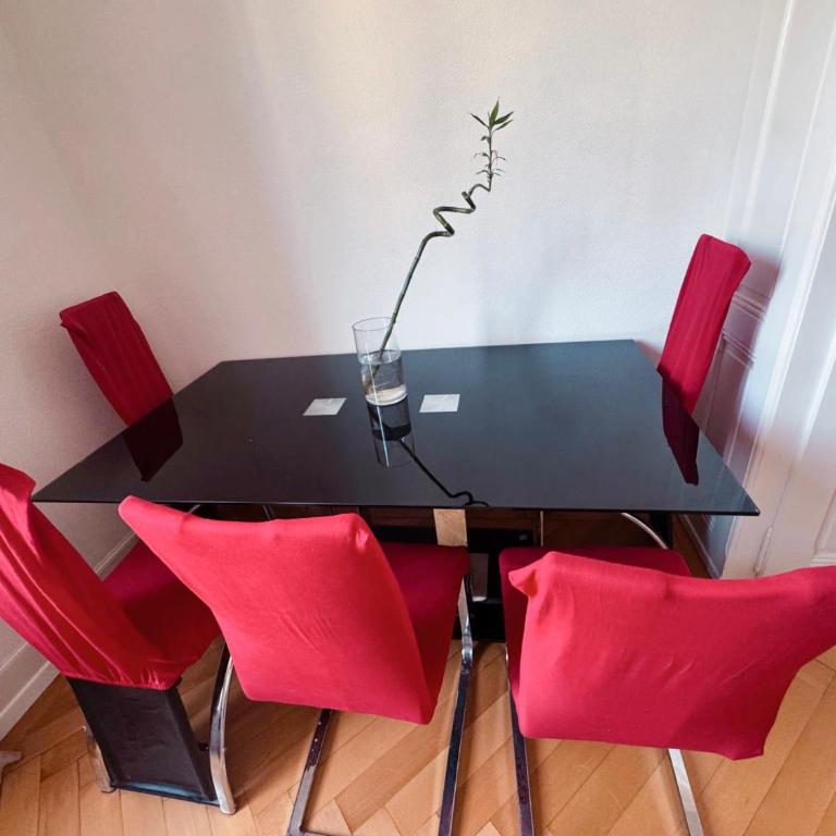 Apartamento lausanne 2 - Apartment mit 1 Schlafzimmer - 3