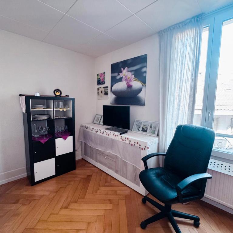 Apartamento lausanne 2 - Apartment mit 1 Schlafzimmer - 20