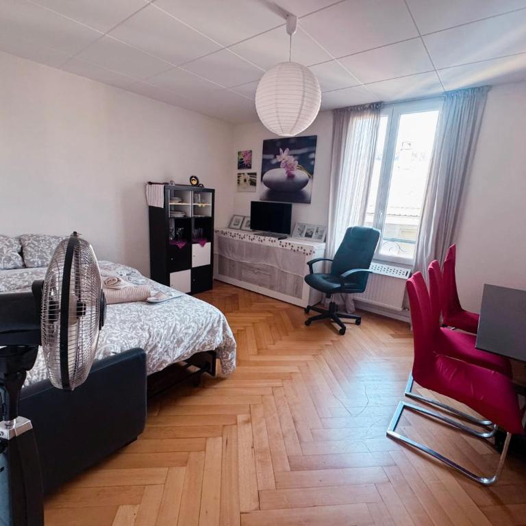 Apartamento lausanne 2 - Apartment mit 1 Schlafzimmer - 21