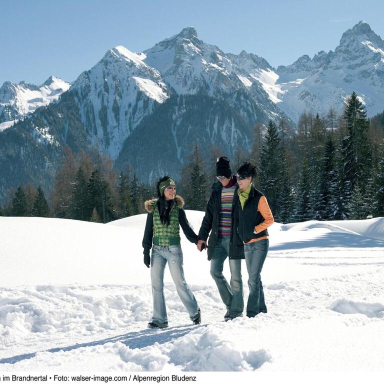 Chalet in Schruns near Montafon Ski Lift - One-Bedroom Apartment - 23
