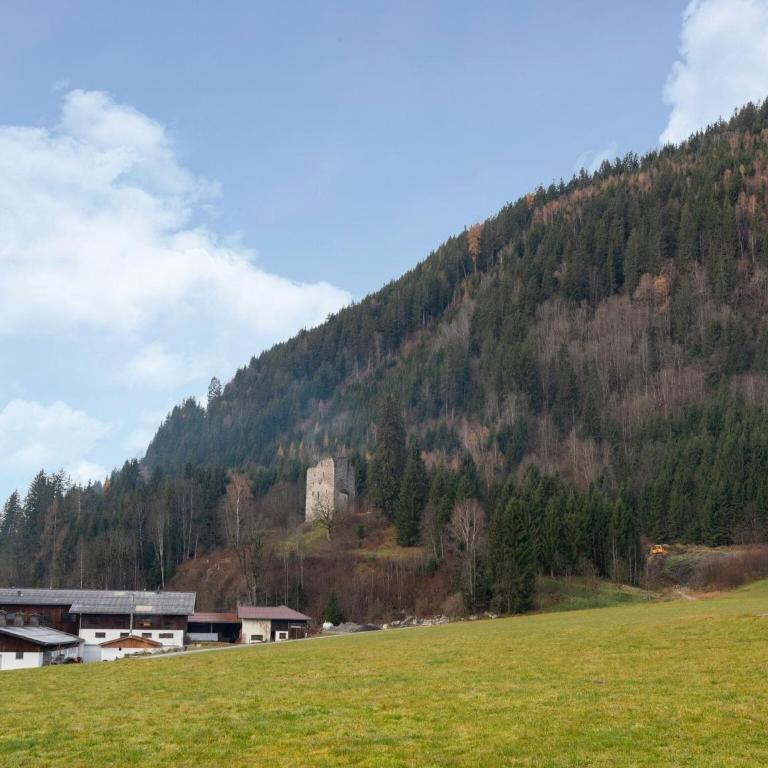Lovely Apartment with Sauna, Ski Storage, Pool, Terrace - Appartement 2 Chambres - 3