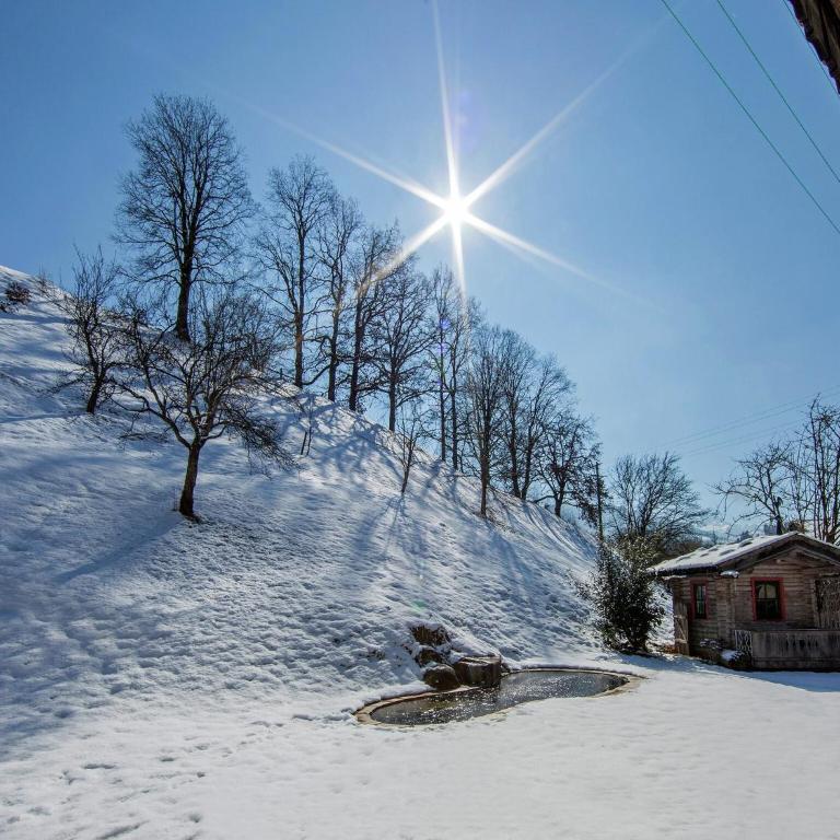 Wonderful Apartment in Hopfgarten im Brixental with Parking - Apartment mit 7 Schlafzimmern - 21
