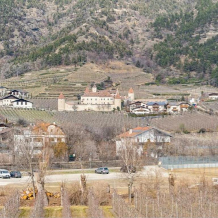 Apartment Bergmelodie - Appartement 1 Chambre - 20