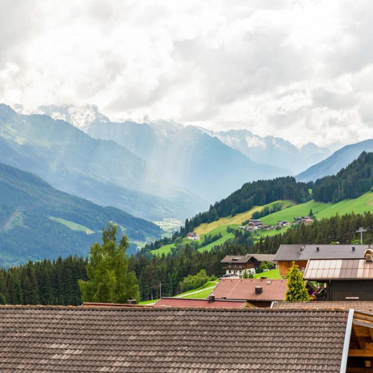Sunlit Apartment near Ski Area in Hollersbach im Pinzgau - Apartment mit 2 Schlafzimmern - 4