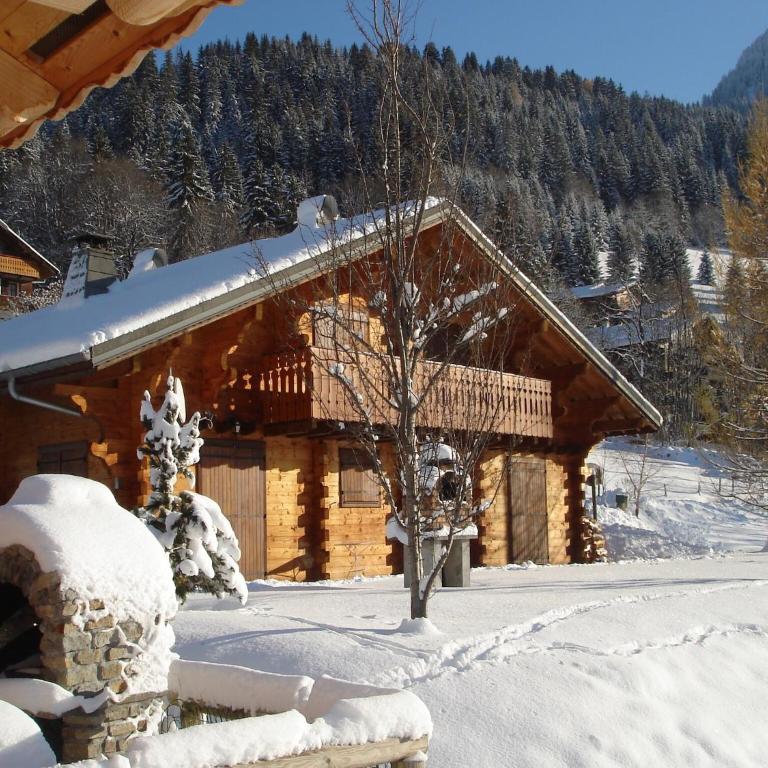 Chalet in Châtel near Les Portes du Soleil - Chalet Supérieur - 31
