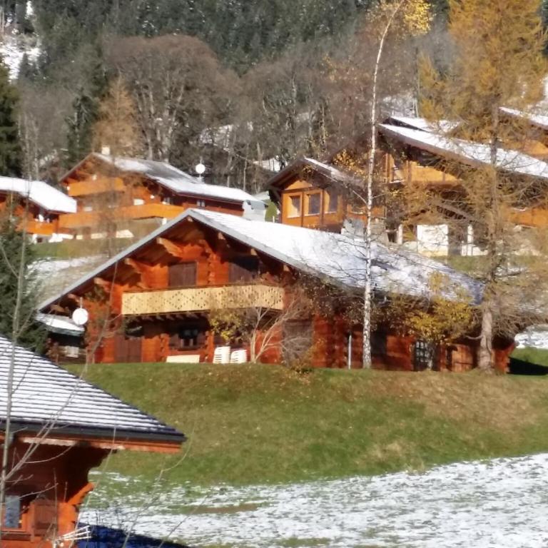 Chalet in Châtel near Les Portes du Soleil - Chalet Supérieur - 35