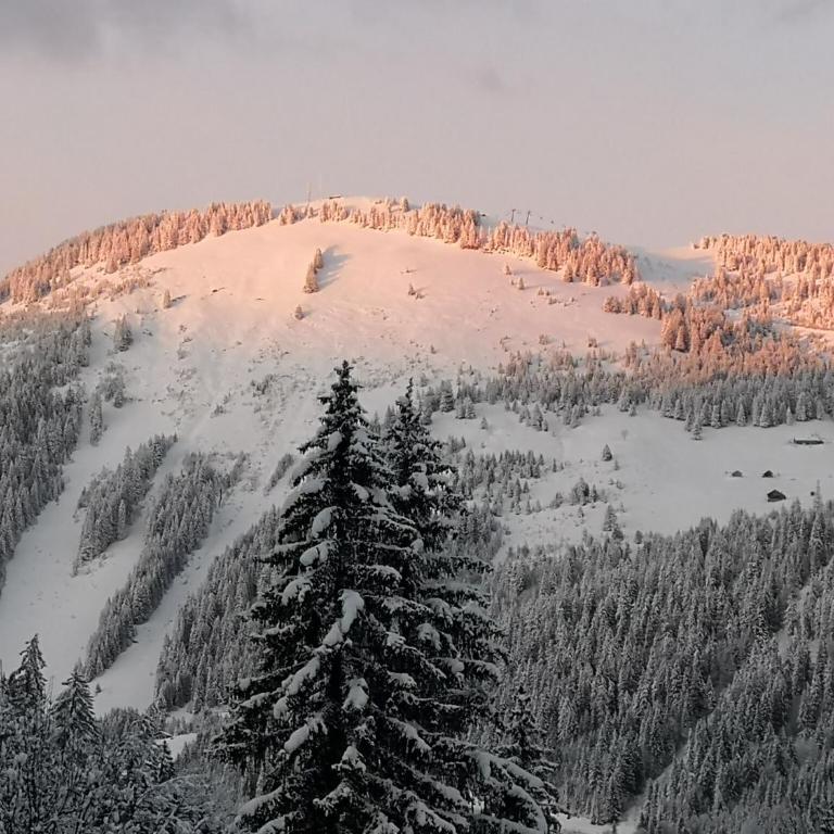 Chalet in Châtel near Les Portes du Soleil - Chalet Supérieur - 36