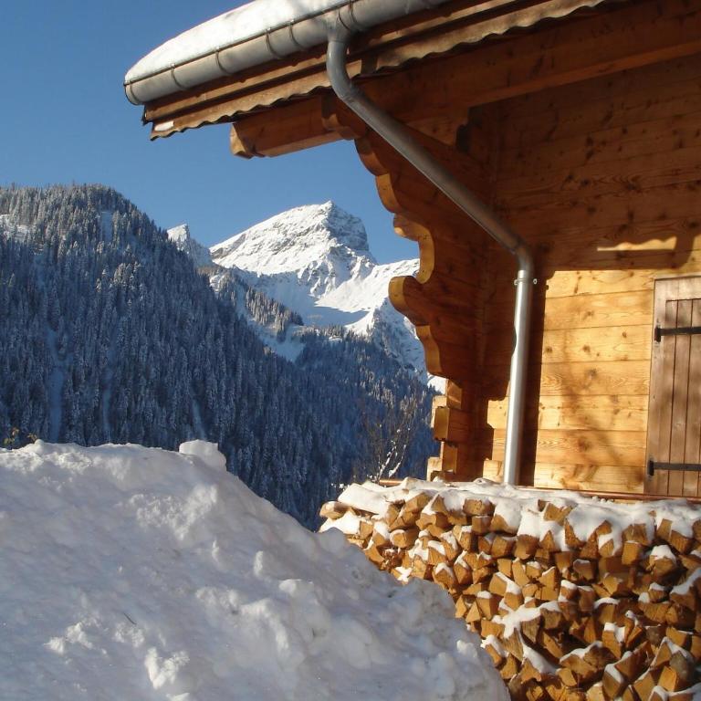 Chalet in Châtel near Les Portes du Soleil - Chalet Supérieur - 33