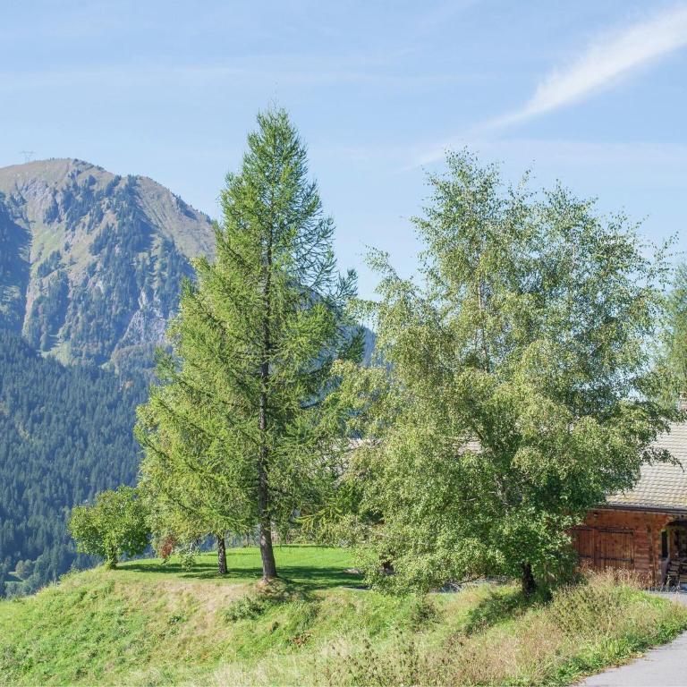 Chalet in Châtel near Les Portes du Soleil - Chalet Supérieur - 30