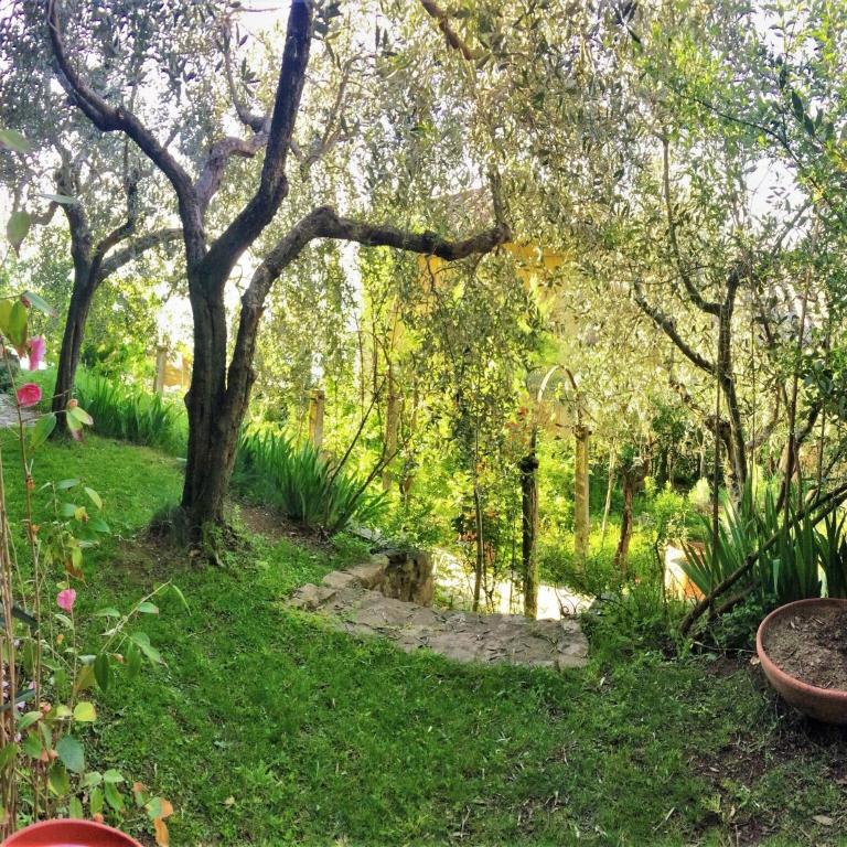 Spacious villa in Cortona with private pool - Villa con 3 Camere da Letto - 17