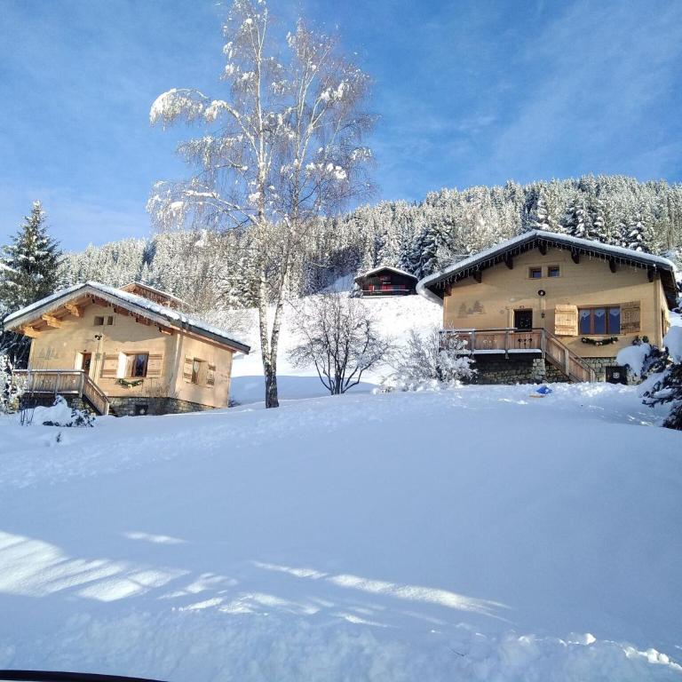 Chalet in Notre-Dame near Ski Lift - Chalet 1 Chambre - 7