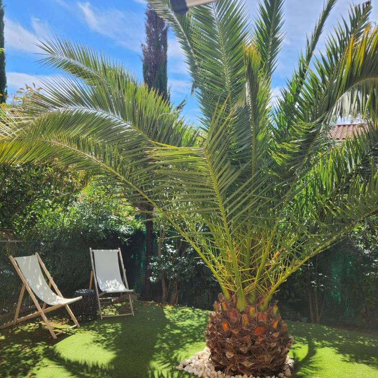 Nice family home in La Ciotat - Vacation Home - 1
