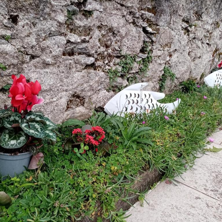 Casa Betty Lake View - Baveno - Casa con 2 Camere da Letto - 28