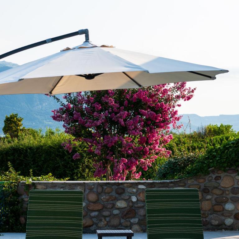 NEW Villa Tosca - Villa con Piscina Privata - 45