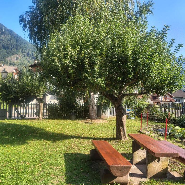 Villa Cecilia mono - Appartamento con 1 Camera da Letto - 9