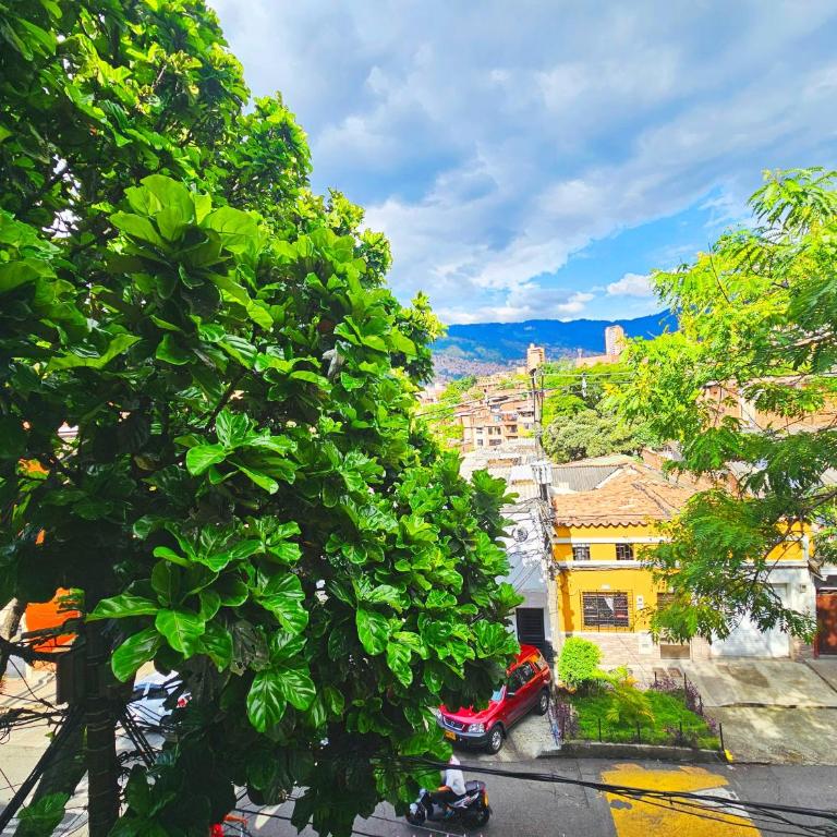 Apartahotel Casa Blanca - Double Room with Private Bathroom - 24