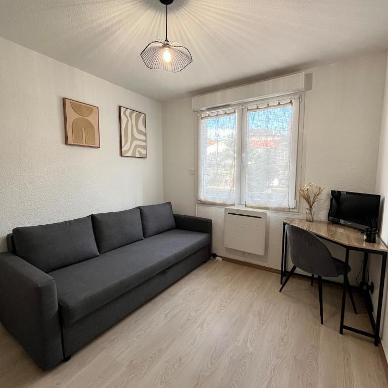 Studio du voyageur, Gare, Centre, Europole, CEA - One-Bedroom Apartment - 3