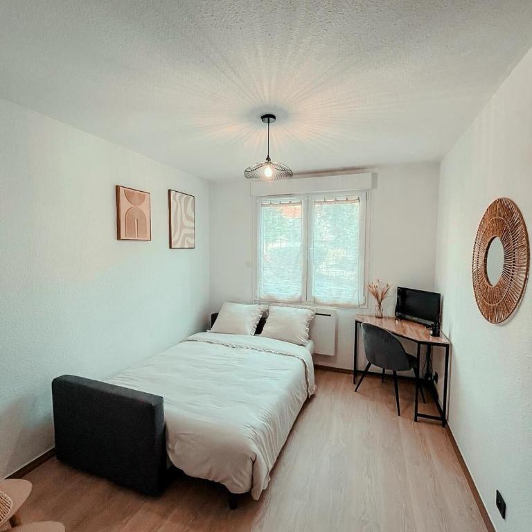Studio du voyageur, Gare, Centre, Europole, CEA - One-Bedroom Apartment - 4