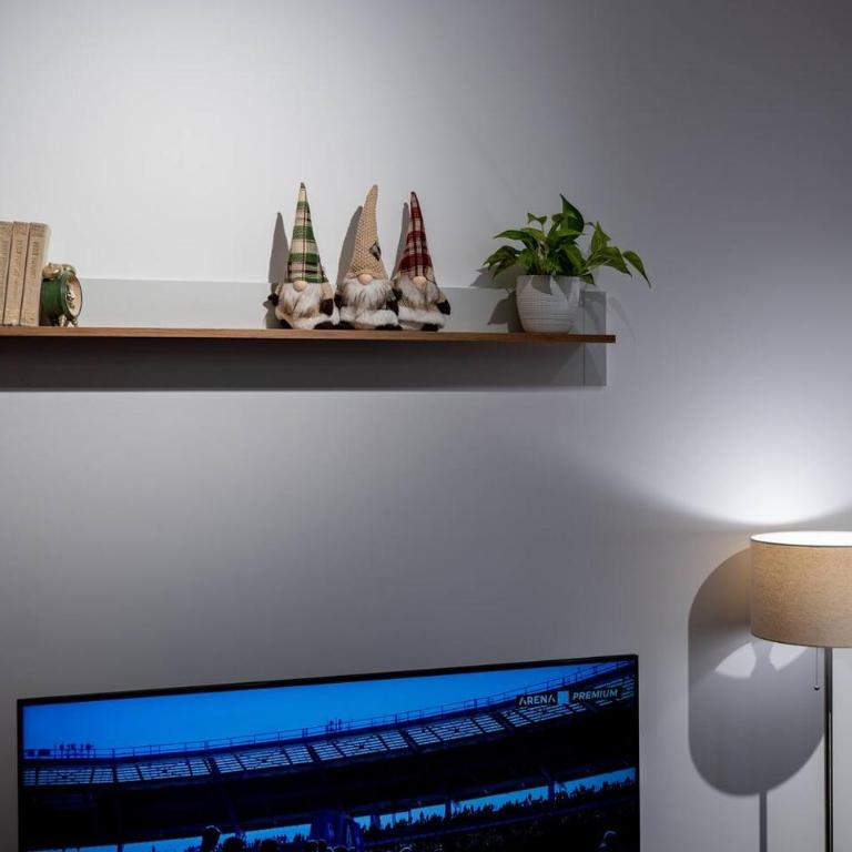 Gorica Apartment - Apartman sa 1 Spavaćom Sobom - 16