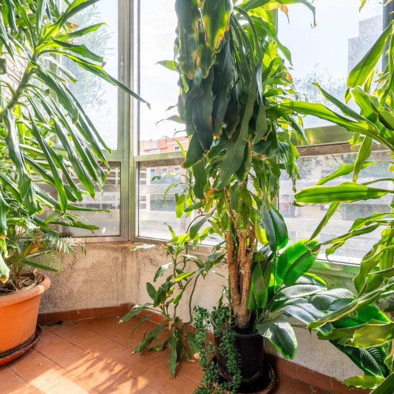 Apartamentos Florida - Apartamento de 2 Dormitorios en Madrid Centro - Two-Bedroom Apartment - 7