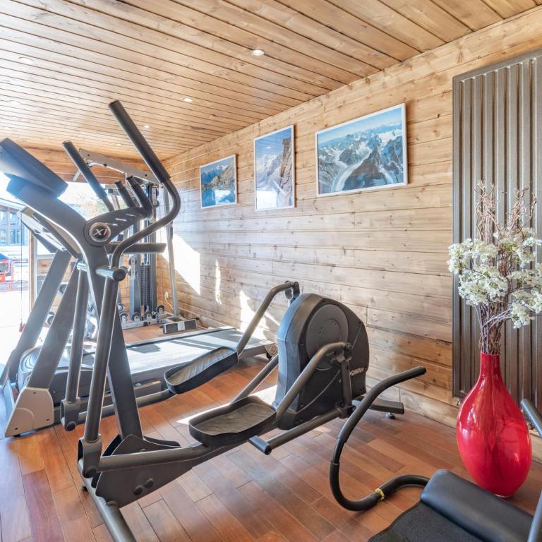 Alpe d'Huez Houses - Chateau Noir - Grand standing pour 4 ou 5, Sauna, Fitness, Babyfoot - Appartamento Deluxe con 2 Camere da Letto e Balcone - 48