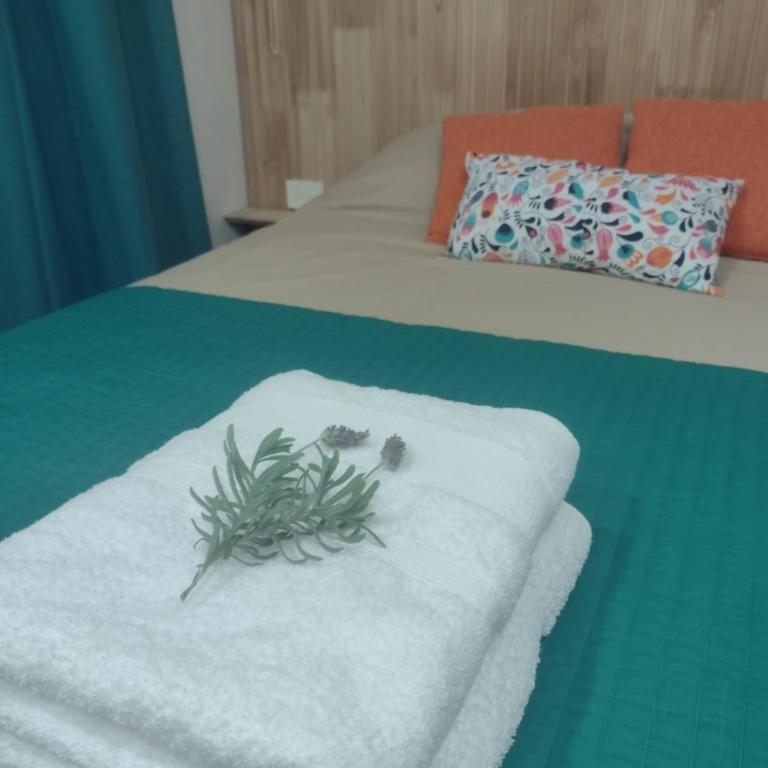 Complejo Phira - Apartamento de 1 dormitorio - 18