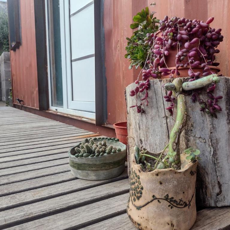 Complejo Phira - One-Bedroom Apartment - 12