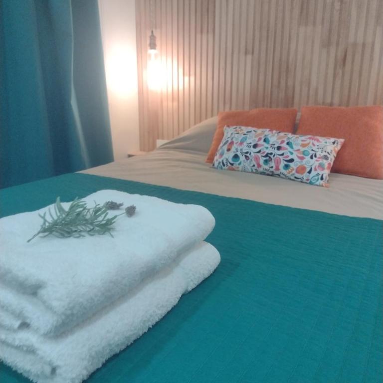 Complejo Phira - Apartamento de 1 dormitorio - 37
