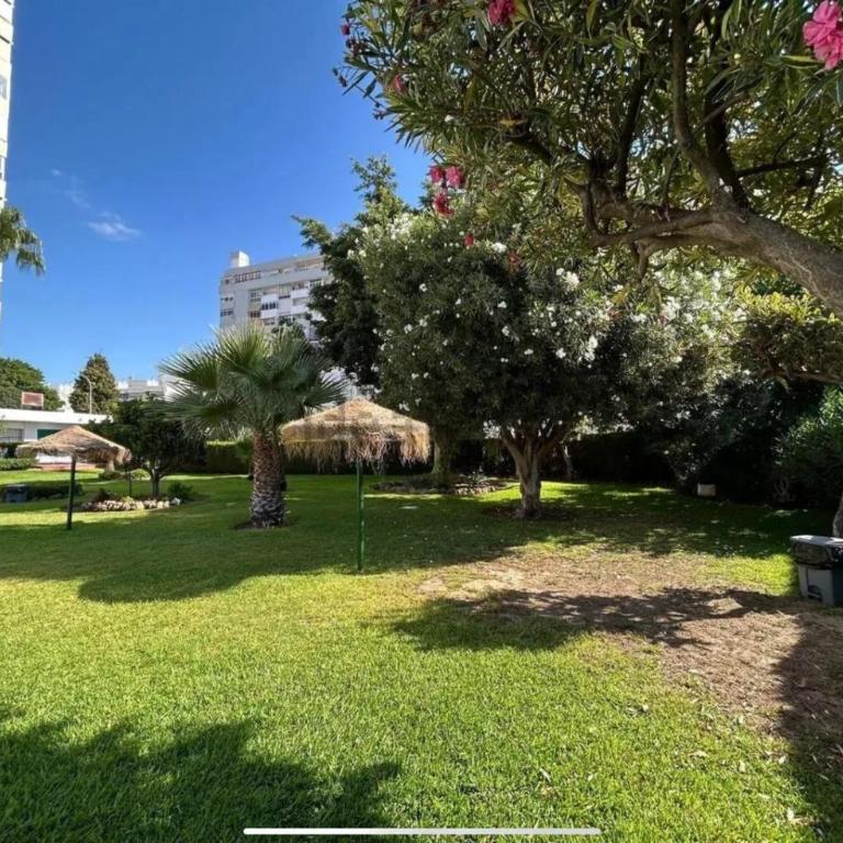 Delta - Apartamento de 1 dormitorio - 26