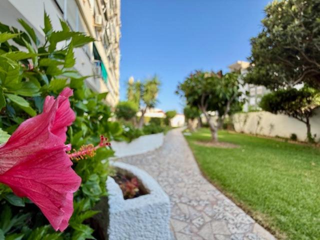 Delta - Apartamento de 1 dormitorio - 27