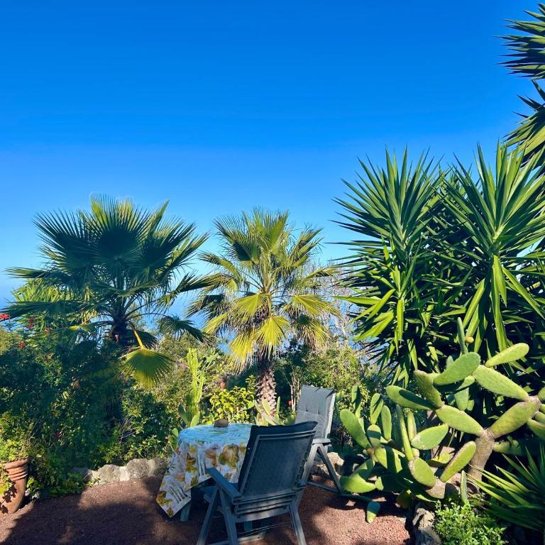 Finca Tenerife - Traumblick, tropischer Garten, viel Platz & Ruhe - One-Bedroom House - 5