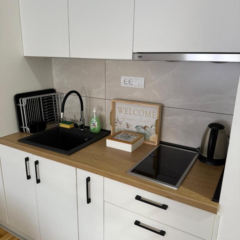 Manojlovic apartmani - Apartman sa 1 Spavaćom Sobom - 7