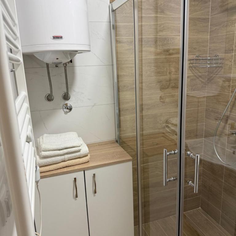 Manojlovic apartmani - Apartman sa 1 Spavaćom Sobom - 16
