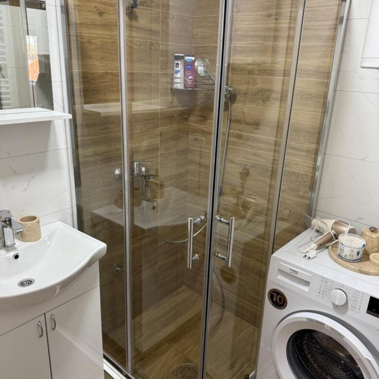 Manojlovic apartmani - Apartman sa 1 Spavaćom Sobom - 22