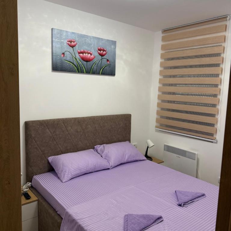 Manojlovic apartmani - Apartman sa 1 Spavaćom Sobom - 26